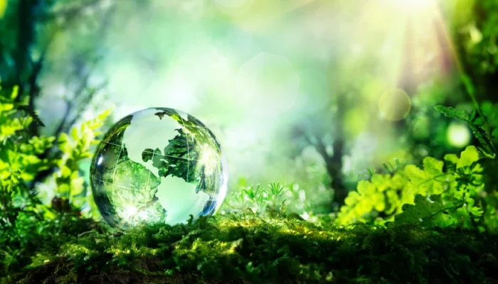 Glass globe on a conceptual green forrest background
