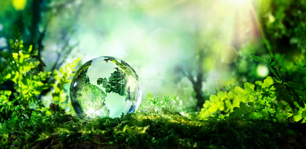 Glass globe on a conceptual green forrest background